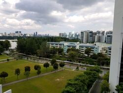 The Lakefront Residences (D22), Condominium #559693231